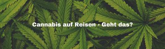 Cannabis auf Reisen: Infos für Patienten