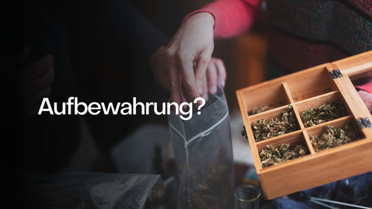 Cannabis richtig aufbewahren