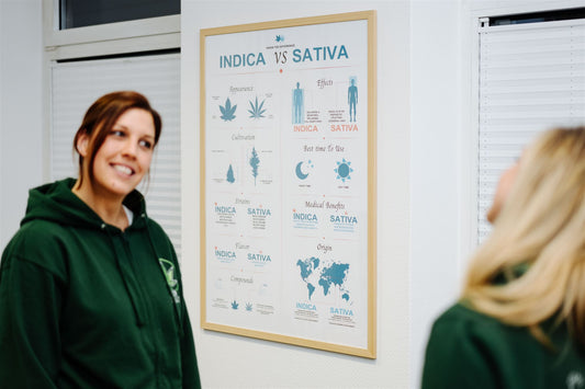 Sativa Indica Erklärung