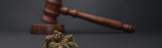 Cannabislegalisierung - Bedeutung für die Medizin
