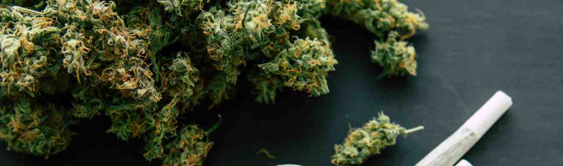 Cannabis medizinisch einnehmen