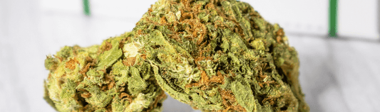 Medizinische Cannabisabhängigkeit - Ist das möglich?