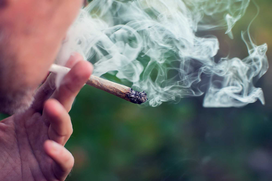 Vom Allheilmittel zur (illegalen) Droge – die Geschichte des Cannabis