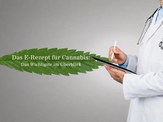 Das E-Rezept für Cannabis: Das Wichtigste im Überblick