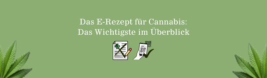 Das E-Rezept für Cannabis: Das Wichtigste im Überblick