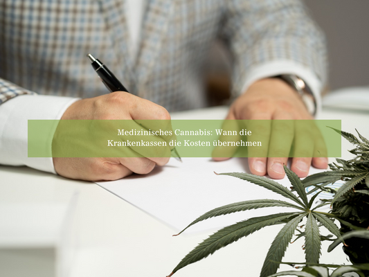 Ein Arzt verschreibt medizinisches Cannabis. Ist die Übernahme durch die Krankenkasse möglich?