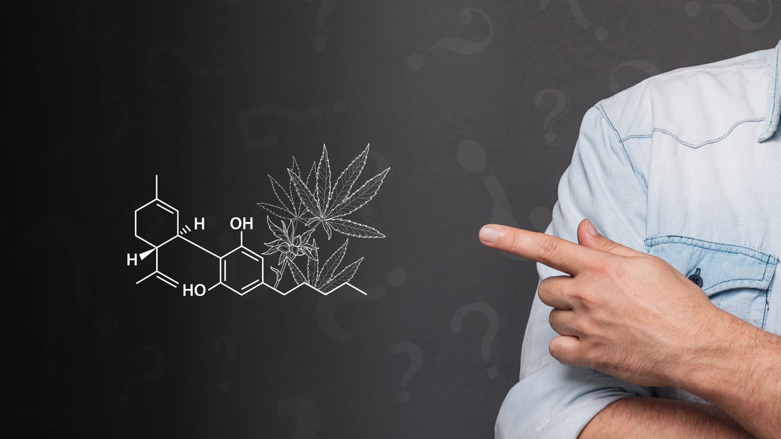 Cannabinoide – Ihre Wirkung einfach erklärt