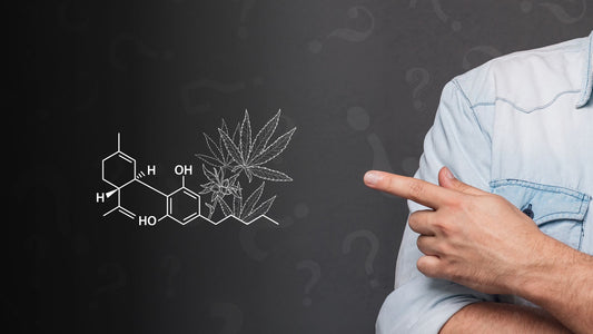 Cannabinoide – Ihre Wirkung einfach erklärt